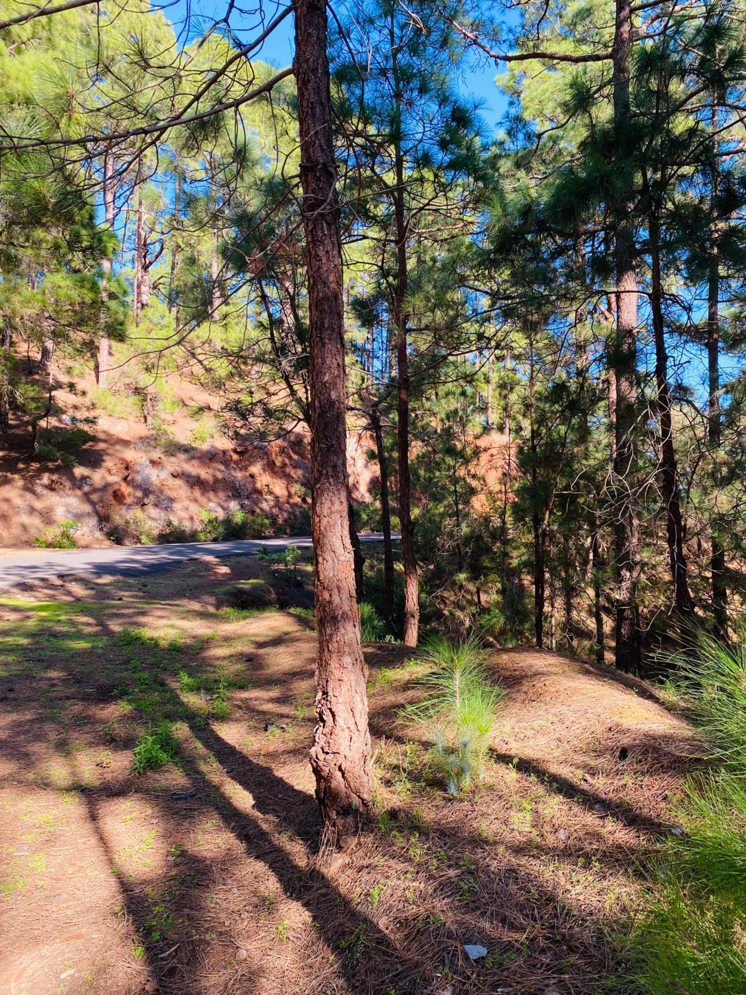 Atlantico - Terraza única Con Vistas Al Océano - Wifi&netflix * Santa-Cruz de Ténérife